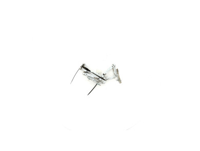 Pièces spécifiques - Porsche 911 CARRERA VI PH.1 - 99151215120 - I0-7941V