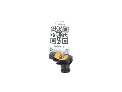Rear camera - Ford KUGA II PH.2 - 2353579 - S1-0960Y