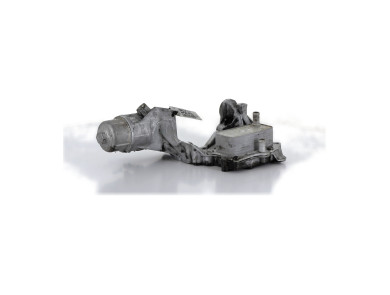 Support filtre à huile occasion - Chevrolet CAPTIVA - 25194089