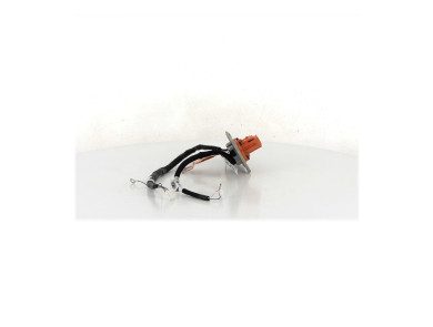Pièces spécifiques - Renault ZOE PH.1 - 295341479R - W1-1787W