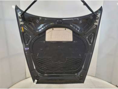 Hood (Bonnet) - BENTLEY CONTINENTAL GT II II - 3SD823031E - E1-1533U