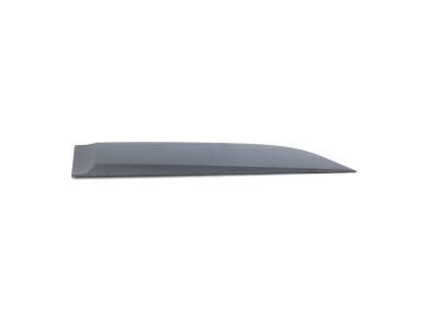 Bandeau de porte arrière droit - Renault SCENIC III PH.3 - Gris Fonce - 828769175R - L1-8107C
