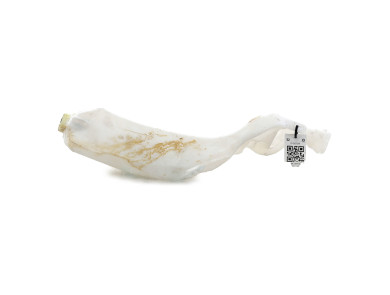 Bocal lave glace - Renault GRAND SCENIC IV - 289107594R - I0-9513R