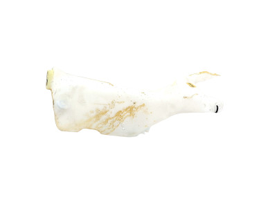 Washer fluid reservoir tank - Renault GRAND SCENIC IV - 289107594R - I0-9513R