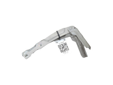 Charnières de capot - Dacia SANDERO II PH.1 - Beige Clair - 654013159R - V1-6555K