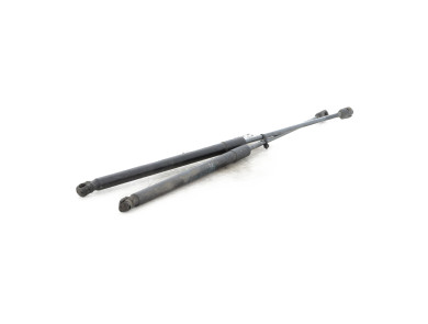Trunk gas spring (x2) - Ford FIESTA VII PH.1 - 2444429 - A1-8804V