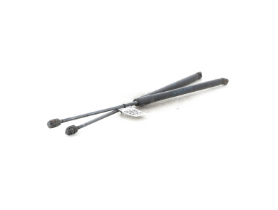Trunk gas spring (x2) - Ford FIESTA VII PH.1 - 2444429 - A1-8804V