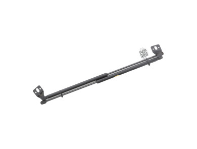 Paire verins coffre hayon malle occasion - Ligier JS50L - 1418118