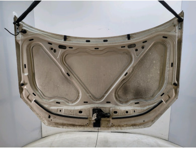 Hood (Bonnet) - Volkswagen POLO IV PH.2 - 6Q0823031J - Q1-4014E