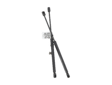 Paire verins coffre hayon malle - Renault CLIO CAMPUS II PH.1 - Blanc - 7700842256 - A1-2299M