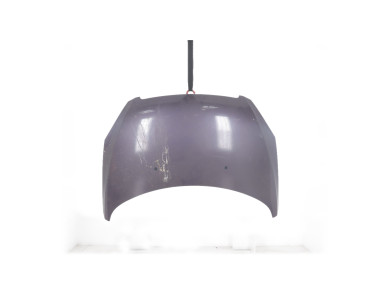 Capot - Peugeot 307 PH.1 - Rouge Fonce - 7901J0 - U1-1141W