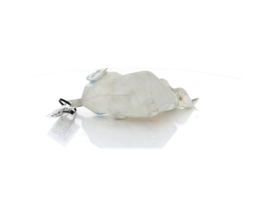 Washer fluid reservoir tank - BMW SERIE 5 IV PH.2 - 61607038432 - X0-8574N