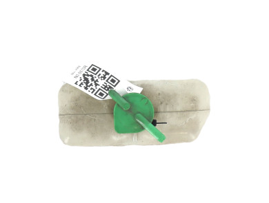 Coolant expansion tank - Suzuki SWIFT IV - 17931-71L00 - N0-5670R