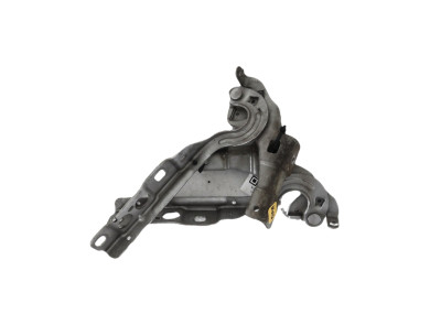 Charnières de capot - Citroen C4 II PH.1 - Gris Clair - 00007912GY - Z1-3981A