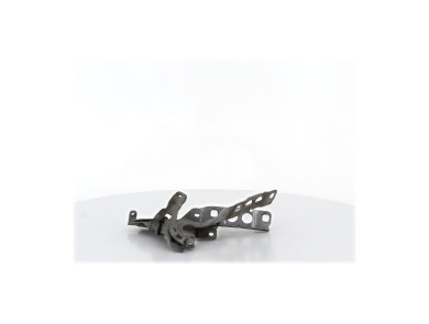 Charnières de capot - Citroen C4 II PH.1 - Gris Clair - 00007912GY - Z1-3981A