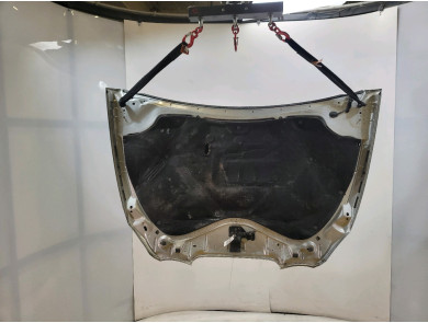 Hood (Bonnet) - Seat LEON II PH.1 - 1P0823031A - P1-2601G