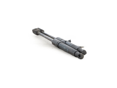 Hood gas spring - Renault SCENIC III PH.2 - Beige Clair - 654700008R - J1-1183A