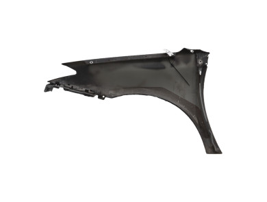 Right front fender - Renault LAGUNA ESTATE III PH.1 - Noir - 631000032R - P0-9063E