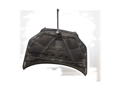 Hood (Bonnet) - Chevrolet AVEO I - Noir - 95164301 - F0-4421E