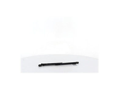 Trunk gas spring (x2) - Renault MEGANE II PH.2 - Beige Fonce - 8200119497 - V1-8313H
