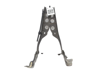 Hood hinges - Citroen C4 II PH.1 - Marron Fonce - 00007912GY - V0-8615E