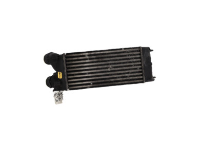 Intercooler - Citroen C4 I PH.2 - 0384L4 - L0-1179A