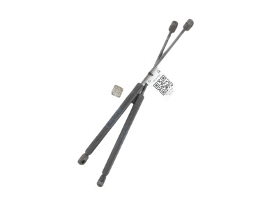 Paire verins coffre hayon malle - Renault CLIO II PH.2 - Gris Fonce - 7700842256 - W0-5473N
