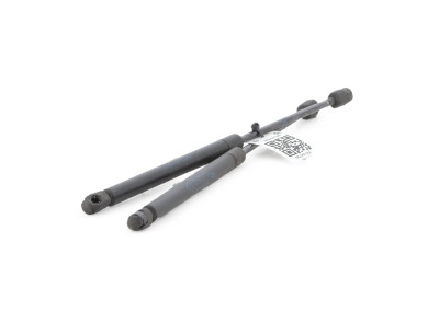 Trunk gas spring (x2) - Renault CLIO II PH.2 - Gris Fonce - 7700842256 - W0-5473N