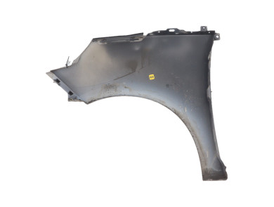 Right front fender - Renault SCENIC III PH.1 - Beige Fonce - 631002127R - M1-7490V
