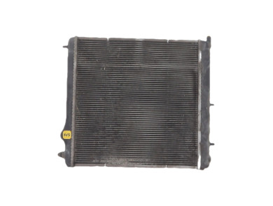 Radiateur d'eau - Peugeot 207 - 1330Q5 - Z1-4601M