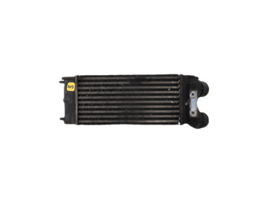 Intercooler - Citroen C4 PICASSO I - 0384L4 - E0-0437S