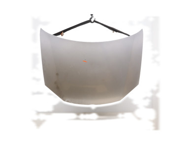 Hood (Bonnet) - Volkswagen GOLF V - Gris Clair - 1K0823031J - J1-4369T