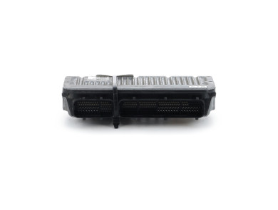 Engine calculator - Toyota RAV4 IV PH.2 - 8966142K80 - T0-6080L