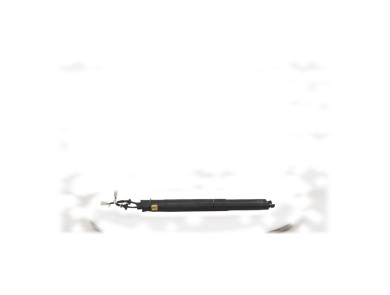 Trunk gas spring (x2) - BMW X5 IV PH.1 - Noir - 51249482800 - H1-7234I