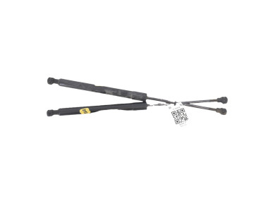 Trunk gas spring (x2) - Renault ZOE PH.2 - Blanc - 904502915R - J1-6007A