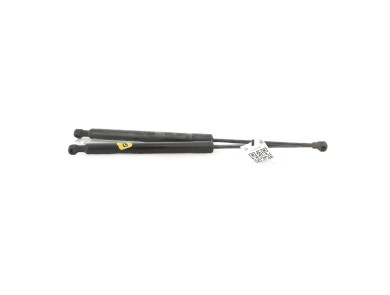 Trunk gas spring (x2) - Renault ZOE PH.2 - Blanc - 904502915R - J1-6007A