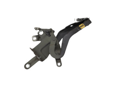 Hood hinges - Renault CLIO IV PH.1 - Gris Clair - 654010257R - G0-9353H