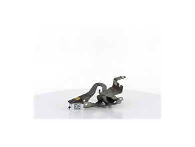 Hood hinges - Renault CLIO IV PH.1 - Gris Clair - 654010257R - G0-9353H