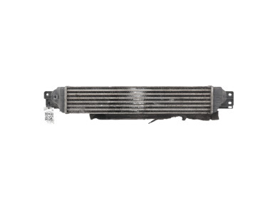 Intercooler - Chevrolet CAPTIVA PH.1 - 96629070 - X0-9269P