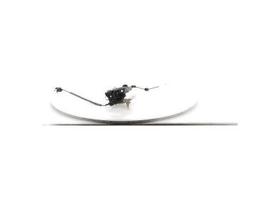 Right front door lock - Porsche CAYENNE II PH.1 - Noir - 9A783721601 - X1-3446E