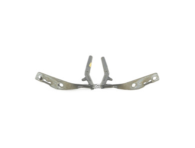 Charnières de capot - Peugeot 206 + - Gris Fonce - 0000791257 - V1-2731H