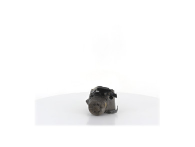 Pompe direction assistée - Dacia SANDERO II PH.1 - 491101292R - F1-5072X