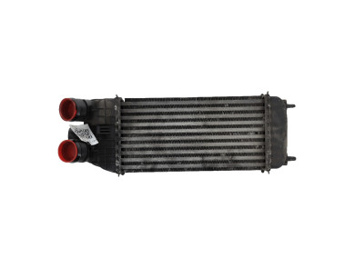 Intercooler - Peugeot 207 SW - 0384N8 - Y0-6428T