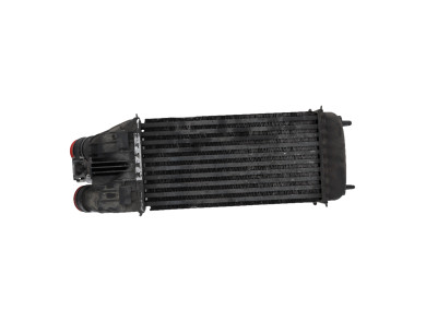 Intercooler - Peugeot 207 SW - 0384N8 - Y0-6428T