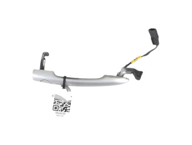 Poignée de porte exterieure gauche - Renault CLIO III PH.2 - Beige Fonce - 7701478161 - S0-3918V