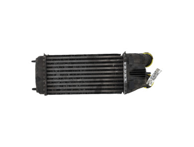 Intercooler - Peugeot 207 - 0384N8 - H0-5694X