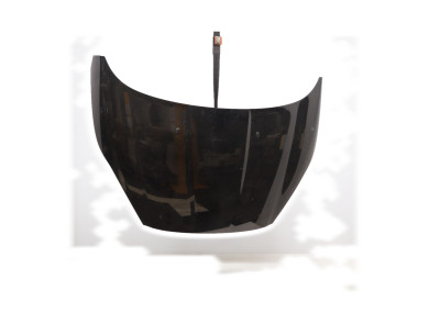 Hood (Bonnet) - Ford FIESTA VI PH.2 - Noir - 2002312 - H1-7123F