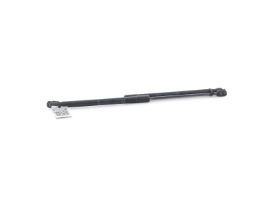 Paire verins coffre hayon malle - Opel ASTRA GTC H PH.2 - Gris Clair - 13220159 - R1-0608K