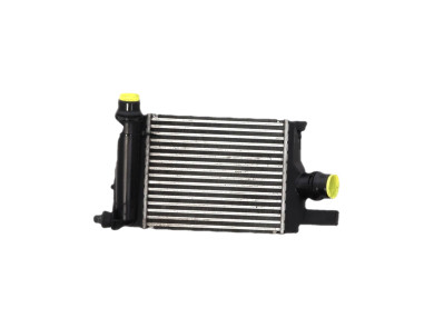Intercooler - Dacia LODGY PH.1 - 144965154R - W1-8819V