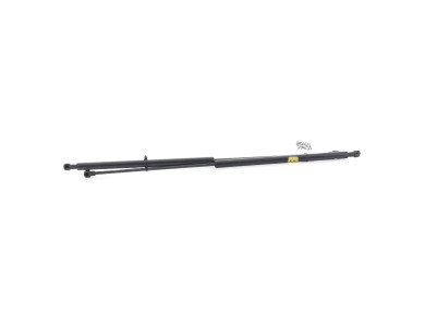 Trunk gas spring (x2) - Honda CIVIC VII PH.2 - Beige Fonce - 74820SMGE03 - T1-6314L